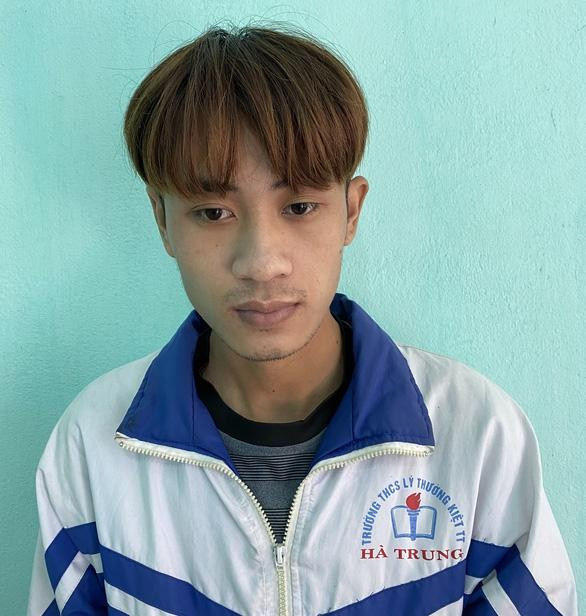 Tại cơ quan Công an, Vũ Tiến Long khai nhận: Do nghiện game, cần tiền tiêu xài nên Long đã ở tại ngôi nhà hoang gần gia đình nhà ông N. để chờ cơ hội đột nhập trộm cắp. Rạng sáng 7/10, Long mang theo 1 dao bấm rồi trèo tường rào đột nhập vào khu bếp nhà ông N để trộm cắp. Nghe tiếng chó sủa, vợ chồng ông N từ trong nhà chạy ra, thấy Long đang lục tìm tài sản, hai ông bà già chạy đến kéo vào nhà để xem cho rõ mặt. Khi bị kéo vào đến cửa nhà, Long đã rút dao bấm thủ sẵn trong người ra đâm một nhát vào vùng bụng ông N. rồi vùng chạy.