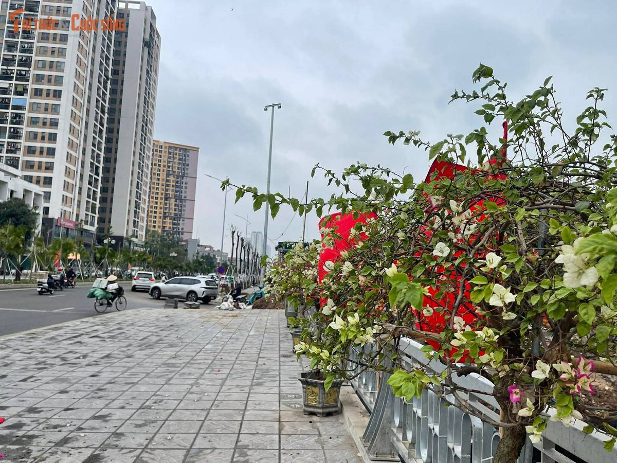 Hiện nay, các đơn vị thi công đang tập trung hoàn thiện những phần việc còn lại như dải phân cách, vỉa hè, trồng cây xanh,... nhằm bảo đảm sự đồng bộ của toàn tuyến.