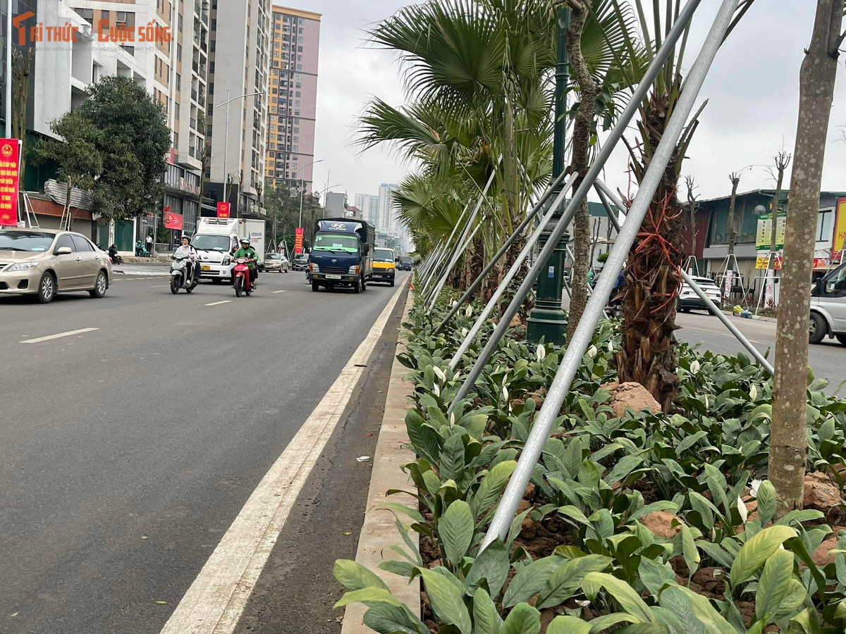 Hai bên tuyến đường, những dải cây và cây hoa mới được trồng đang dần phủ xanh không gian.