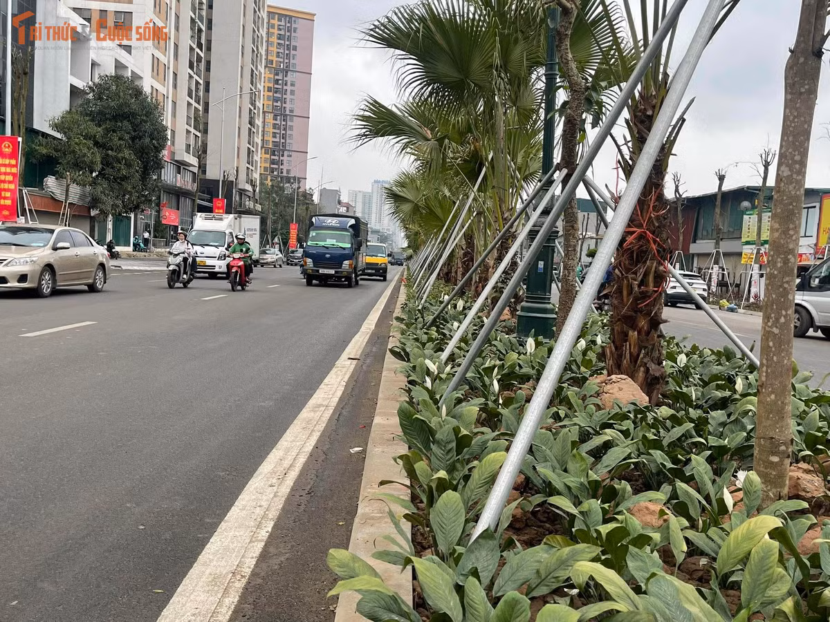 Hai bên tuyến đường, những dải cây và cây hoa mới được trồng đang dần phủ xanh không gian.