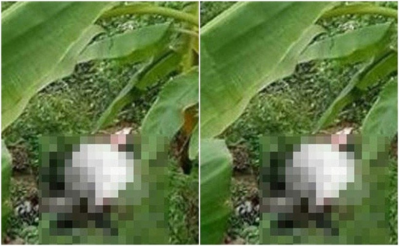 Đi được khoảng 1km, Hoát phát hiện chị Sùng Thị Tr đi phía trước. Thấy đoạn đường vắng vẻ, dục vọng nổi lên, Hoát đuổi theo kéo tay chị Tr xuống khu vực bụi rậm ven đường rồi đe dọa bắt nạn nhân cởi quần áo. Tiếp đó, Hoát dùng quần tất và áo ngực của chị Tr trói 2 tay nạn nhân và thực hiện hành vi hiếp dâm. Sau khi đã thỏa mãn dục vọng, thấy chị Tr khóc lóc, sợ sự việc bại lộ, Hoát lập tức dùng áo khoác siết cổ nạn nhân đến chết rồi lạnh lùng rời khỏi hiện trường. (Hiện trường nơi phát hiện thi thể nạn nhân)