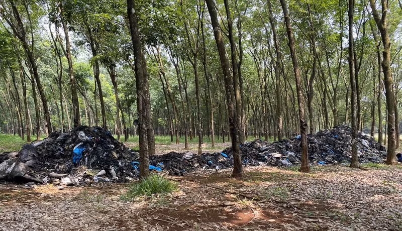 Khi cả hai chạy xe máy theo hướng xuôi xuống biển TP.Vũng Tàu, Chiêu bất ngờ đổi ý muốn rẽ sang địa bàn huyện Xuyên Mộc để rủ thêm một người bạn cùng đi cho vui. Sau khi chạy được khoảng gần 30km, Chiêu rẽ vào con đường nhỏ và đi sâu vào trong lô cao su thuộc địa bàn ấp Tân An (xã Phước Tân, huyện Xuyên Mộc). Viện cớ đi lạc đường, Chiêu mượn điện thoại của bạn gái để dò đường qua ứng dụng Google Map. (Ảnh minh họa, nguồn internet)