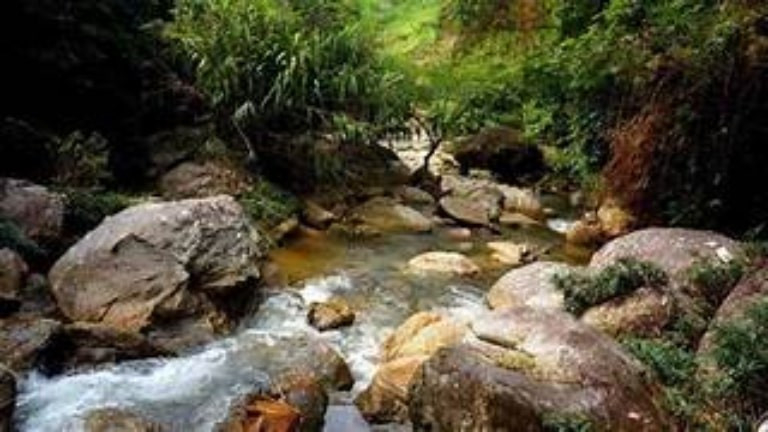 Sẵn có rượu trong người, lại bị mắng nhiếc, Khỏ vùng dậy dùng tay bóp cổ vợ, đồng thời ép quan hệ tình dục. Không dừng lại ở đó, gã tiếp tục dùng dây thắt lưng bằng vải quấn, siết cổ nạn nhân tới khi bất động. Khi hơi men tan dần, Khỏ sờ vào ngực trái chị Vấn thấy tim ngừng đập, biết vợ đã tử vong nên gã vô cùng lo sợ. Trong đêm tối mịt mùng, Khỏ tức tốc vác thi thể vợ, men theo lối mòn mang xuống khe suối Nậm Cuổi cách nhà vài trăm mét để phi tang. Tại đây, sau khi quan sát địa hình, Khỏ đã nhét thi thể chị Vấn vào hốc sâu, sau đó dùng đất đá vùi lấp lại. (Ảnh minh họa, nguồn internet)