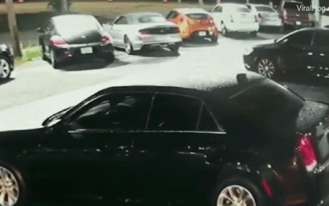 Hanh dong bat ngo cua nam thanh nien sau khi roi lam 