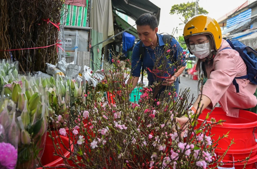 Khách nô nức mua đào Nhật Tân về chơi Tết sớm ở TP HCM