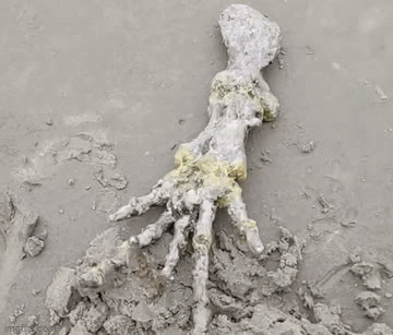 Video: Phat hien ban tay xuong khong lo ky la tren bai bien Brazil