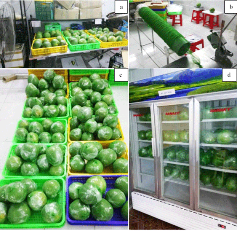 Quy trinh bao quan buoi tu 2-3 thang-Hinh-2