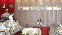 Đồng Nai tiếp tục "gỡ vướng" vật liệu cho các dự án trọng điểm phía Nam