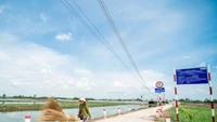 Gói thầu hơn 13,6 tỷ tại Ban CSAT Bến tre về tay LD QUốc Dũng – Phạm Hoàng