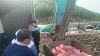 Gia Lai: Tiêu hủy hơn 1 tấn thịt heo và chả ram không rõ nguồn gốc