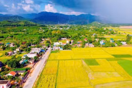 Lợi ích của nhịp sống chậm ở làng quê đối với sức khỏe tâm lý