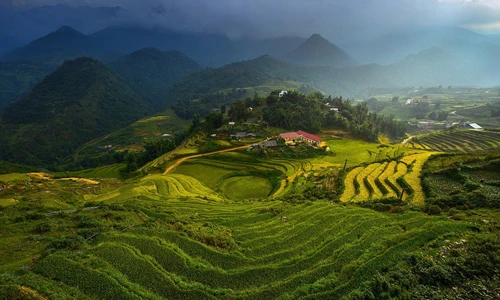 Ruộng bậc thang Việt Nam tuyệt đẹp trên National Geographic