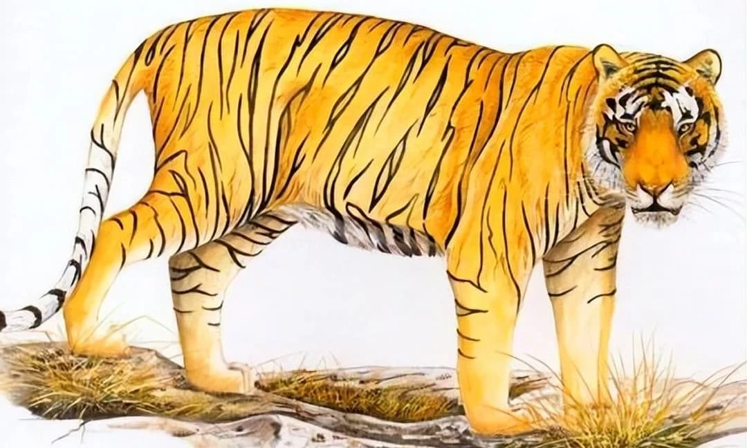 2 tháng cuối 2022, 3 con giáp chuyển mình ngoạn mục, kiếm tiền siêu đỉnh