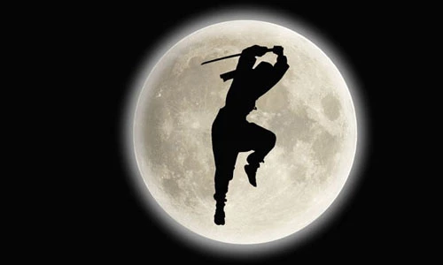 Khám phá bất ngờ về thế giới thần bí của Ninja
