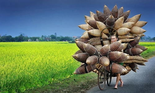 Ảnh đẹp Việt Nam gây ấn tượng tại cuộc thi quốc tế