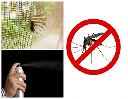 Cửa lưới có phải cách phòng muỗi hiệu quả?