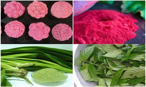 Sốt xình xịch cây lá nhuộm màu bánh trung thu