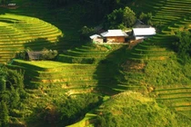 Bản Ý Linh Hồ vào mùa lúa ngả vàng, đẹp mê hoặc lôi cuốn du khách