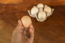  Cách nhận biết trứng đã hỏng chỉ trong vài giây