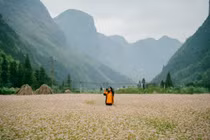 Khám phá mùa hoa rực rỡ miền Bắc từ Tuyên Quang đến Sa Pa