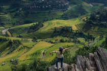 Thưởng ngoạn mùa vàng rực rỡ trên 'sống lưng khủng long' Púng Luông