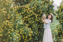 View - Hè Về Cùng Nhau Chinh Phục Mộc Châu Hái Mận Chín Đỏ | Báo Tri thức và Cuộc sống - TIN TỨC PHỔ BIẾN KIẾN THỨC 24H