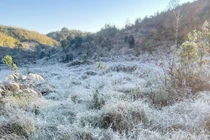 View - Rừng cổ thụ rêu xanh Nậm Nghẹp điểm trekking mê hoặc du khách yêu thiên nhiên | Báo Tri thức và Cuộc sống - TIN TỨC PHỔ BIẾN KIẾN THỨC 24H