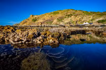 Tuy nhiên, nơi đây còn gây bất ngờ với du khách bởi rạn san hô rực rỡ tại Bãi Dứa, nhất là vào mùa nước cạn từ tháng 3 đến tháng 8. Ảnh Nguyễn Phan Dũng Nhân