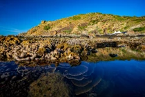 Tuy nhiên, nơi đây còn gây bất ngờ với du khách bởi rạn san hô rực rỡ tại Bãi Dứa, nhất là vào mùa nước cạn từ tháng 3 đến tháng 8. Ảnh Nguyễn Phan Dũng Nhân