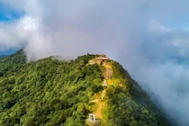 View - Rừng cổ thụ rêu xanh Nậm Nghẹp điểm trekking mê hoặc du khách yêu thiên nhiên | Báo Tri thức và Cuộc sống - TIN TỨC PHỔ BIẾN KIẾN THỨC 24H
