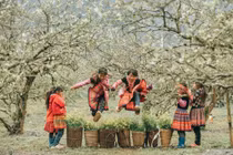 Theo đánh giá của Time Out, Việt Nam không chỉ thu hút ở mùa hè mà còn trở thành điểm đến hấp dẫn vào mùa đông. Ảnh Vietravel