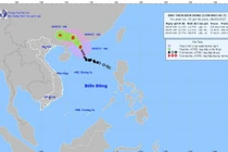 Tin mới nhất cơn bão số 7 Tapah giật cấp 13 trên Biển Đông