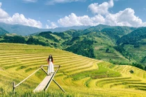 Hành trình 4 ngày vi vu Hoàng Su Phì – Mù Cang Chải trọn vẹn mùa vàng Tây Bắc