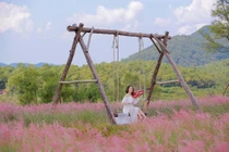 View - Ngắm mùa thu vàng làng Ngân Hạnh, chọn tour nào để tận hưởng trọn vẹn? | Báo Tri thức và Cuộc sống - TIN TỨC PHỔ BIẾN KIẾN THỨC 24H