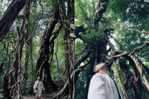 4 tọa độ sống ảo tuyệt đẹp ở Vườn Quốc gia Nam Cát Tiên khiến du khách say mê