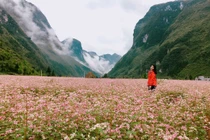 Thưởng thức món ăn độc đáo khi đến Tuyên Quang mùa tam giác mạch