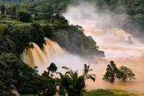 View - Xôi trám đen Cao Bằng hương vị níu bước du khách mùa thu vùng núi | Báo Tri thức và Cuộc sống - TIN TỨC PHỔ BIẾN KIẾN THỨC 24H