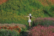 Ngất ngây trước sắc hoa ở Một Khu Vườn Sơn La, nơi đẹp tựa cổ tích