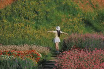 Ngất ngây trước sắc hoa ở Một Khu Vườn Sơn La, nơi đẹp tựa cổ tích