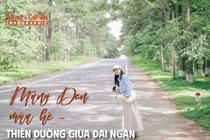 [INFOGRAPHIC] Măng Đen mùa hè - Thiên đường giữa đại ngàn