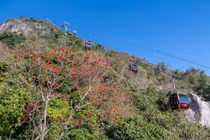 Núi Bà Đen vào mùa hoa vông nem, tour tham quan chỉ từ 700.000 đồng