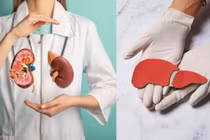 5 loại trái cây 'vàng' giúp gan thận khỏe mạnh