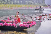 Ngắm mùa hoa súng nở rộ, khám phá nét thu lãng mạn ở Ninh Bình