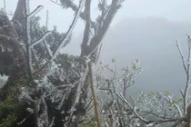 Hành trình chinh phục đỉnh dài khoảng 22 km, gồm hai cung đường chính: xuất phát từ xã Hang Chú, huyện Bắc Yên (Sơn La), dễ đi và phù hợp người mới bắt đầu, và cung thứ hai xuất phát từ Bản Công, xã Hạnh Phúc (Lào Cai), với đoạn “sống lưng khủng long” nổi tiếng. Ảnh Phang Ga