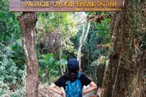 Chinh phục rừng già Côn Đảo, đắm mình trong vẻ đẹp thuần khiết của Đất Thắm