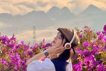 Suối Bon mùa hoa sim góc sống ảo lý tưởng cho du khách mê thiên nhiên