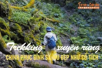 View - Cung trekking đẹp như mơ, ít người biết giữa núi rừng Lai Châu | Báo Tri thức và Cuộc sống - TIN TỨC PHỔ BIẾN KIẾN THỨC 24H