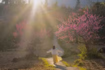 Tùng Vài rực sắc đào, hành trình du xuân vùng biên giá chỉ từ 4 triệu đồng