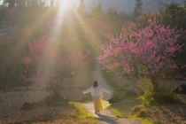 Tùng Vài rực sắc đào, hành trình du xuân vùng biên giá chỉ từ 4 triệu đồng