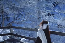 Chinh phục thiên đường tuyết trắng Vân Nam, chọn tour nào để không ‘hớ’?